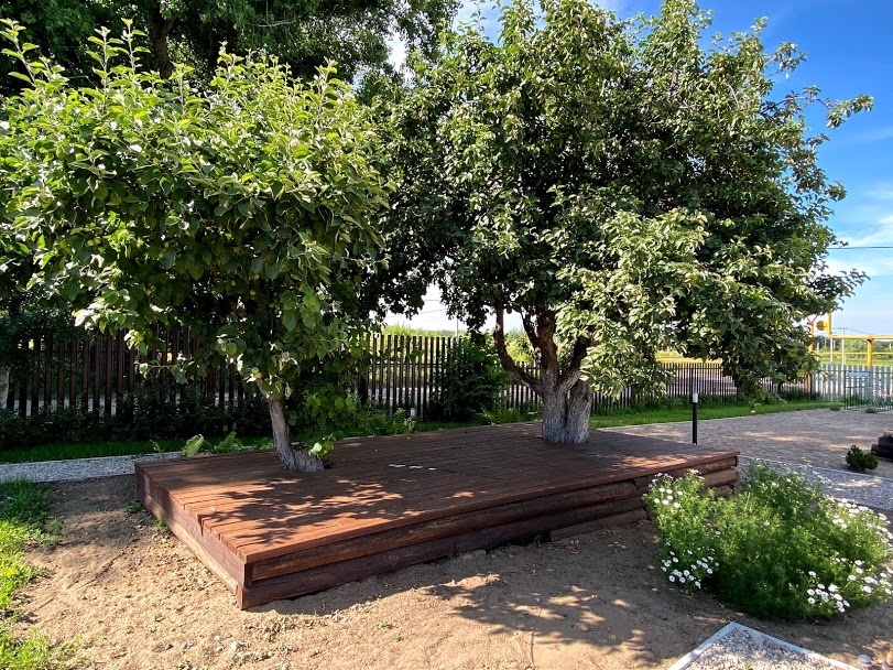 Фото Велопарк