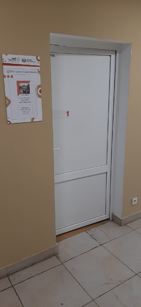 Internet marketing OptimizeSeo, Tula, photo