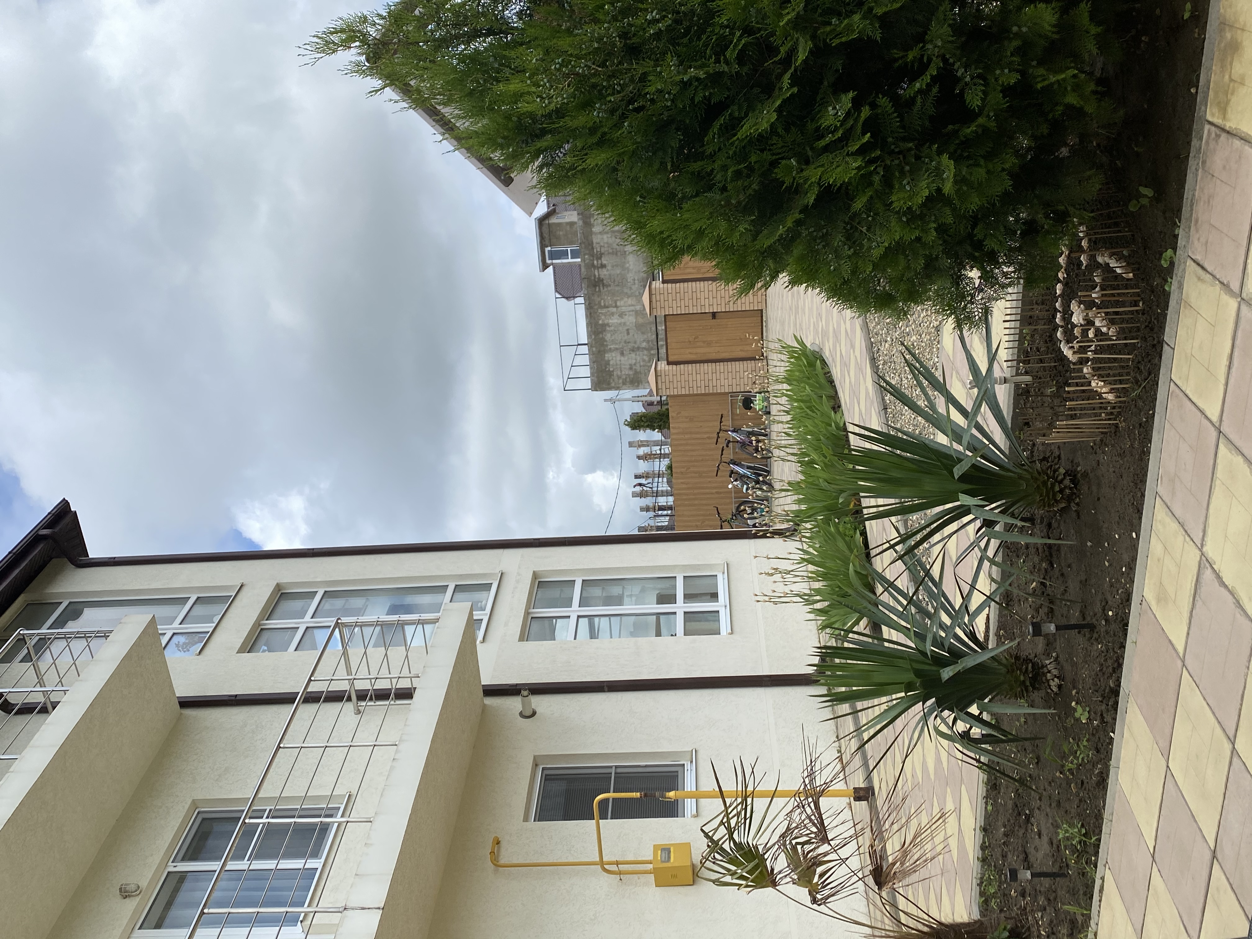 Фото Green Elephant