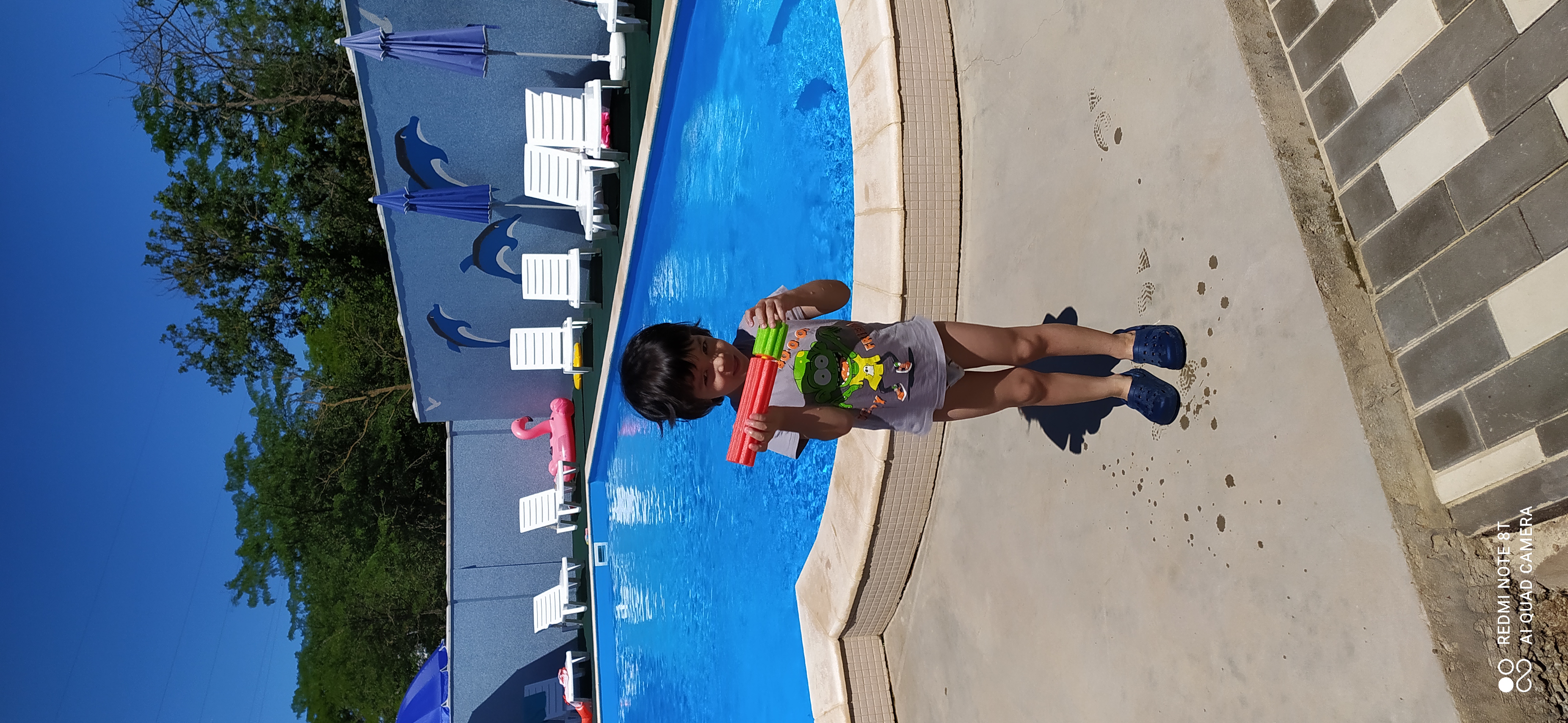 Фото Семицветик