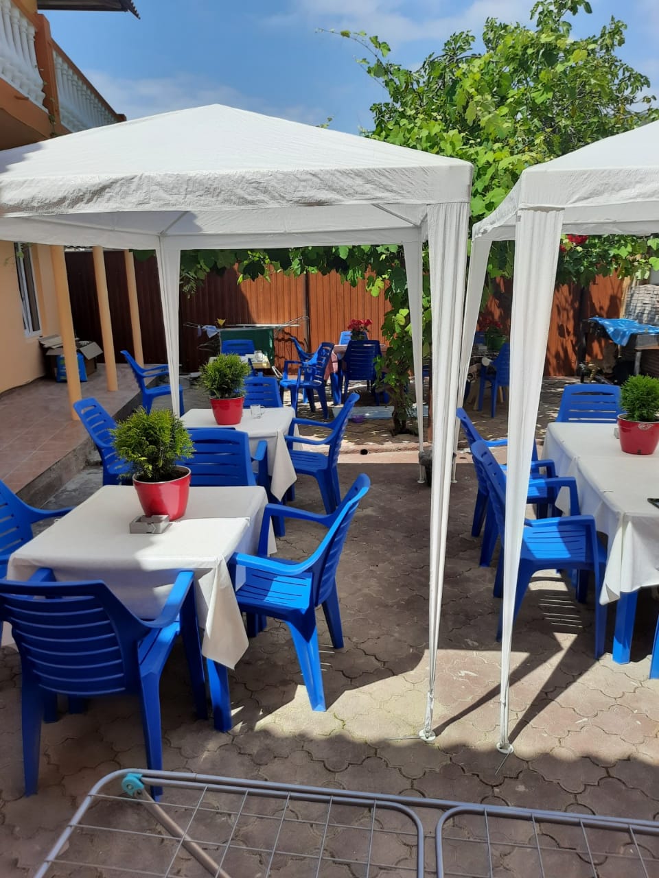 Фото Тифлис