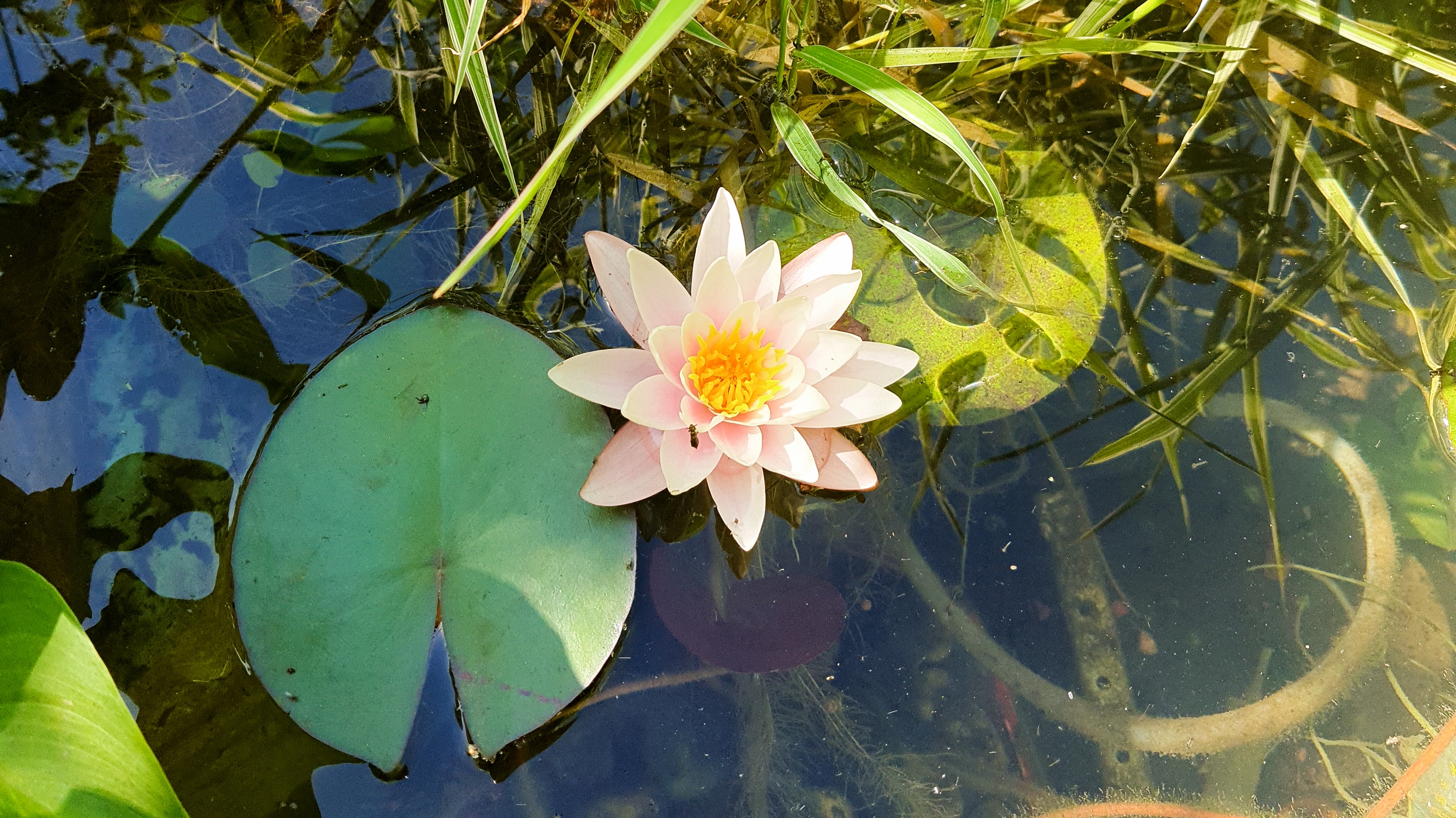 Фото Лазурный залив