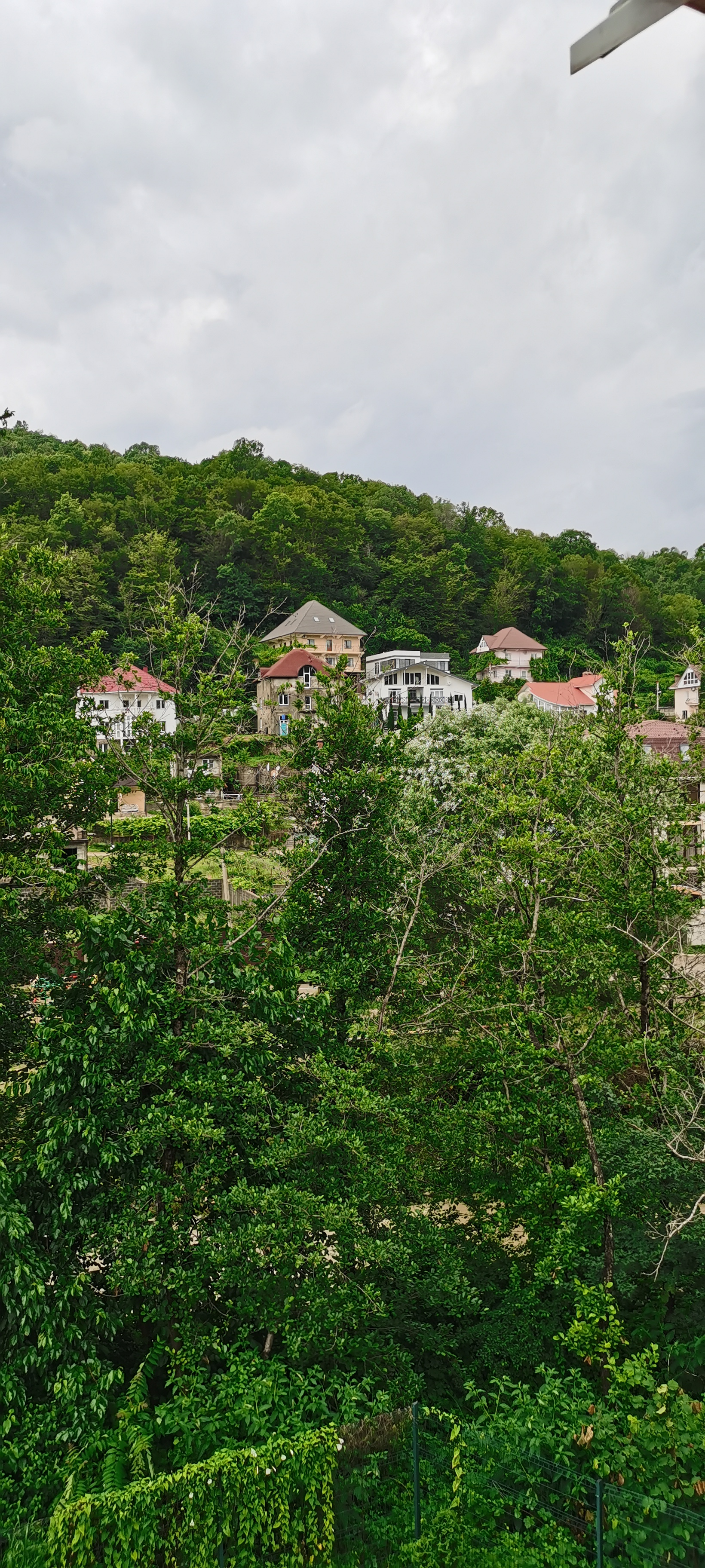 Фото Коралловый Риф