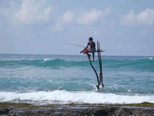 Фото Galle Star Hotel