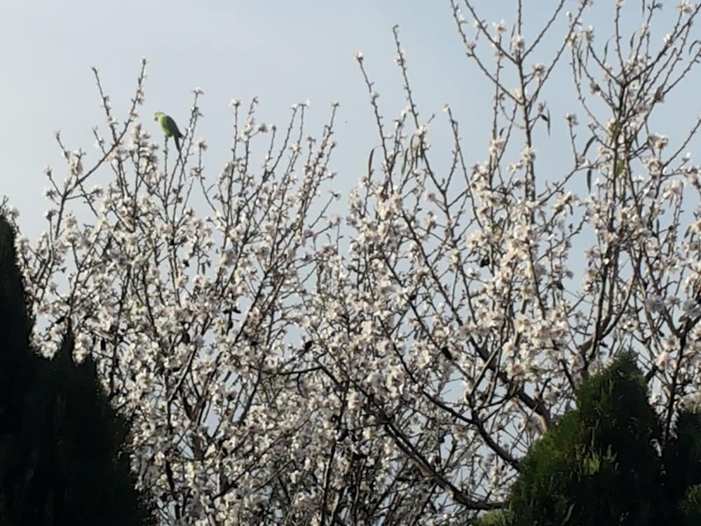 Фото In Our Place