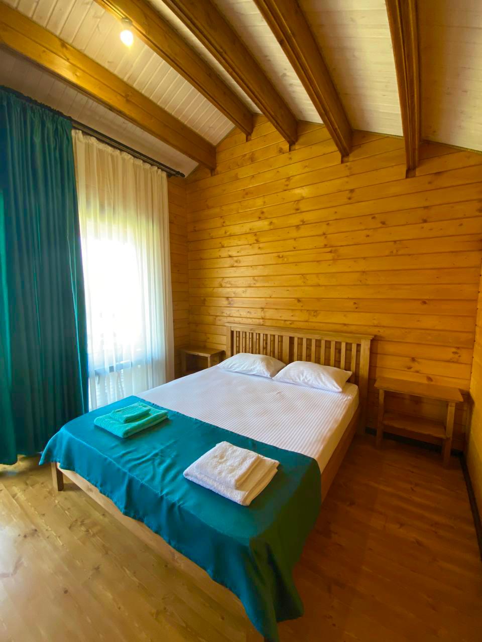 Фото Кактус