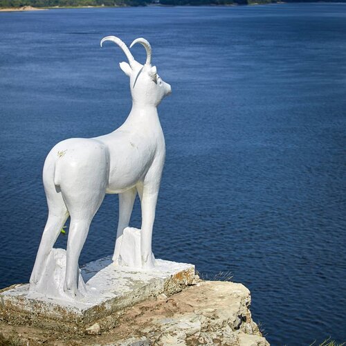 Мас жігітке сусын беріп, есекке елік етті, видео