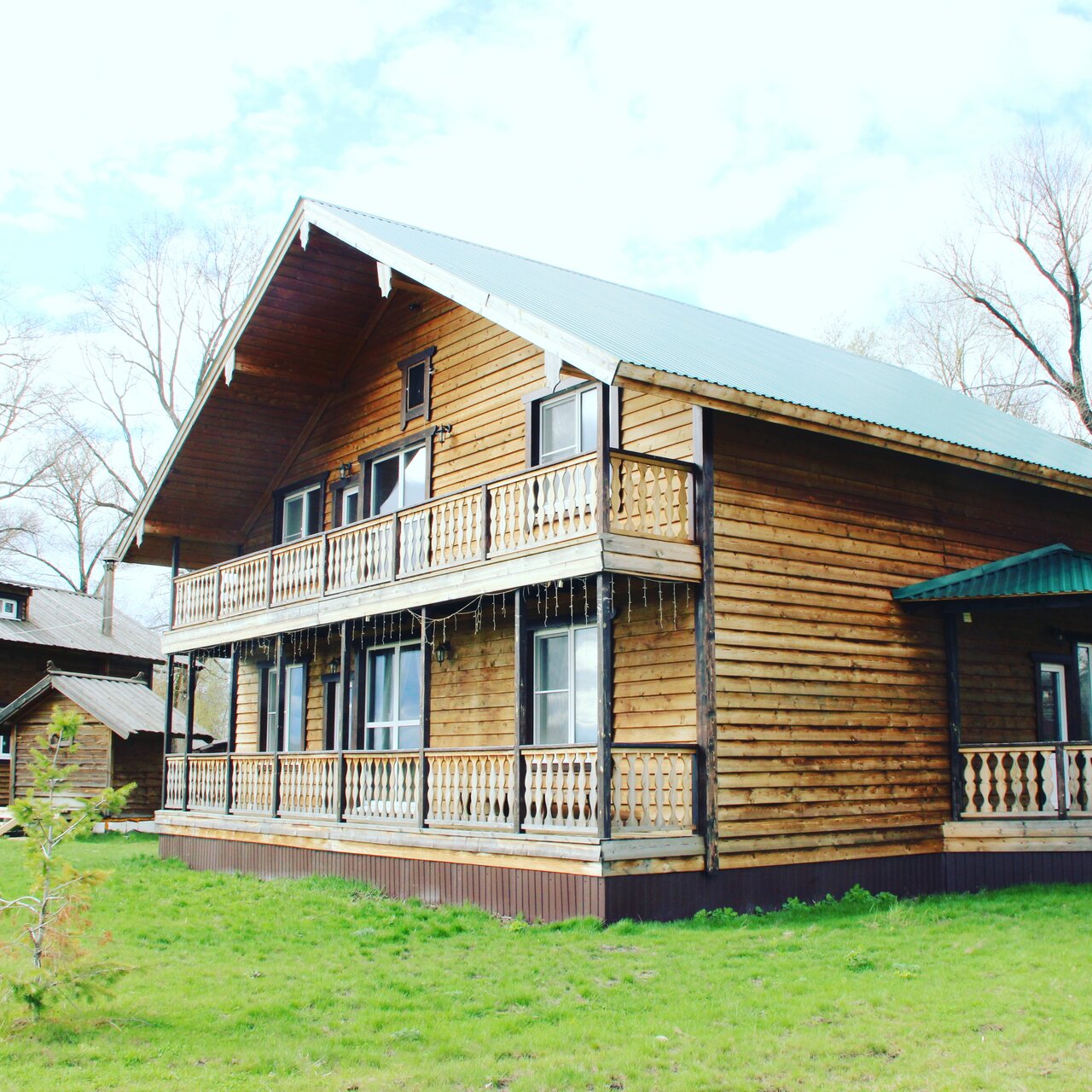 Елки на Волге