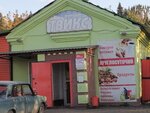 Твикс (Лесная ул., 1А, Новая Ляля), быстрое питание в Новой Ляле