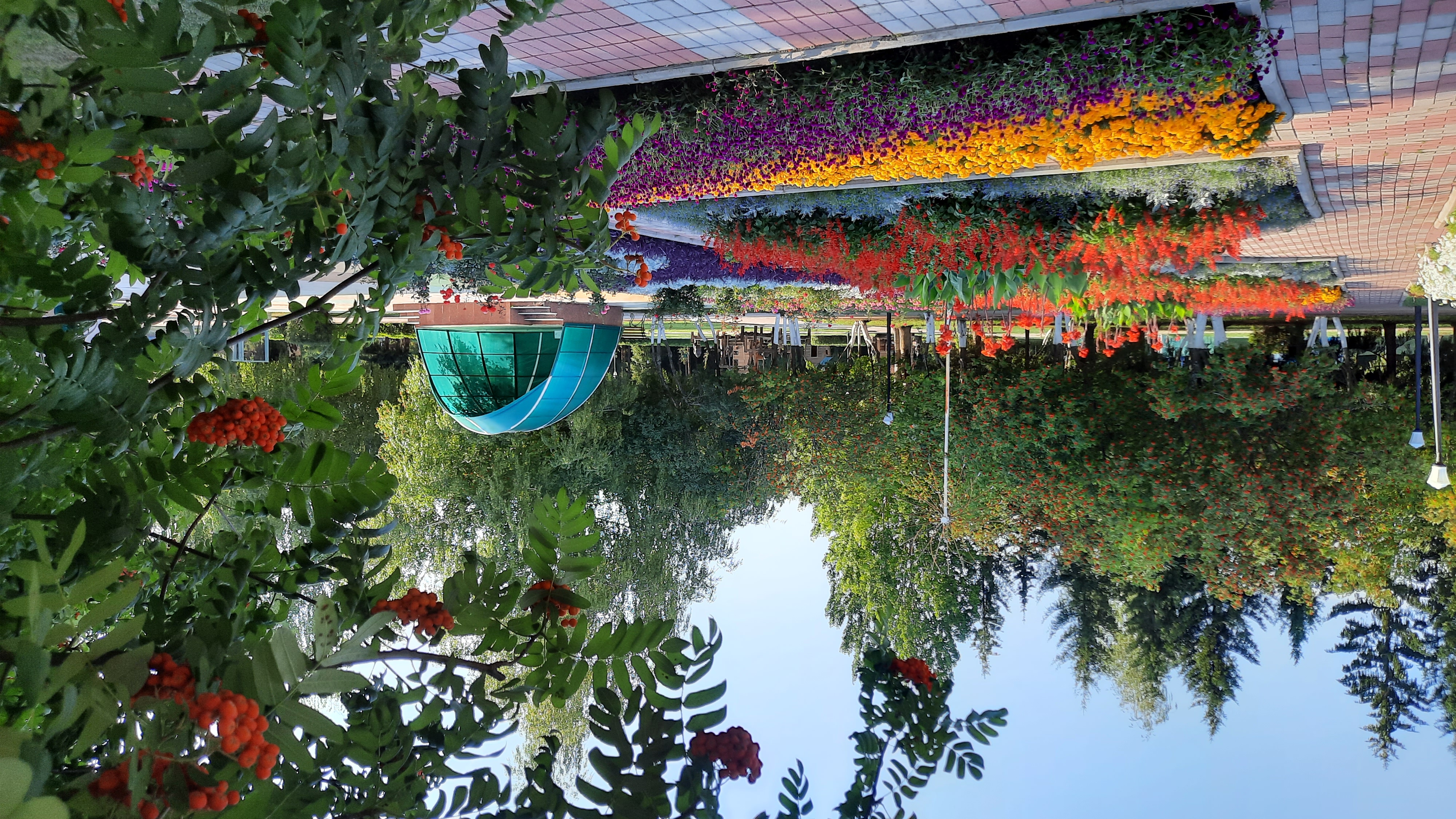 Фото Ромашкино