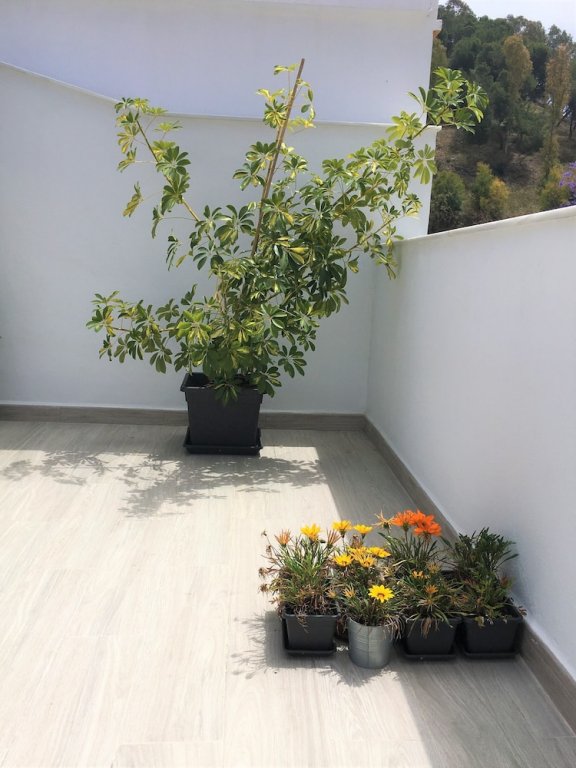 Фото Centro Picacho