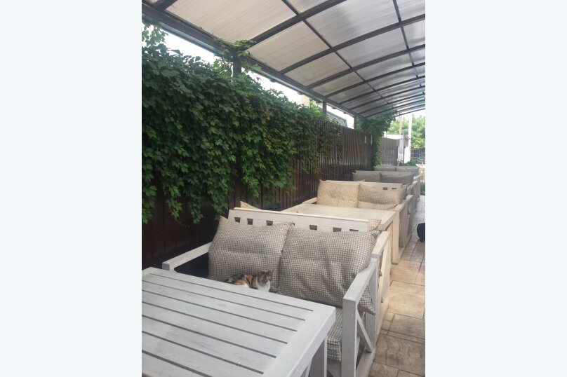 Фото Алкеста