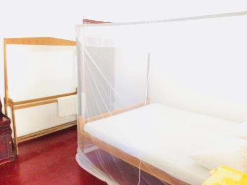 Фото Tropicana homestay