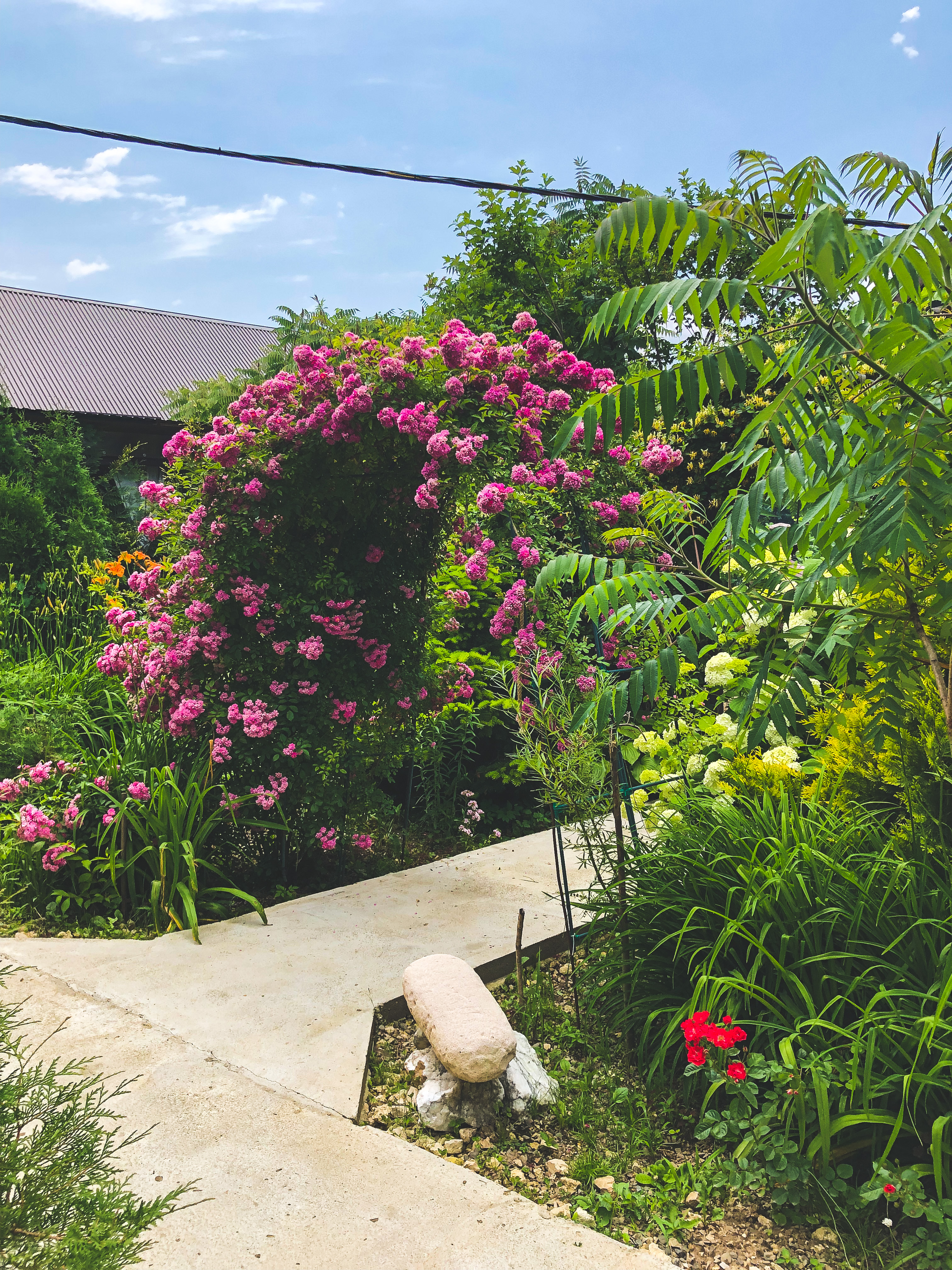 Фото Зелёный уголок