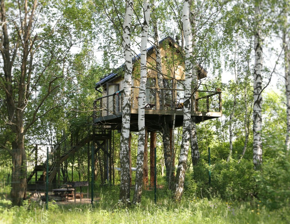 Фото Лапочкино гнездо Дома на деревьях