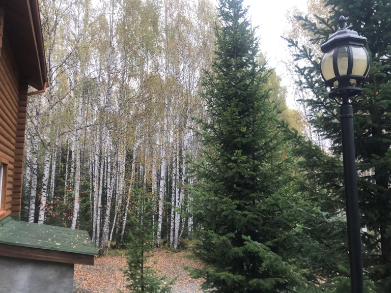 Фото Зелёный дом