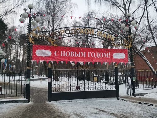 Парк культуры и отдыха Ногинский ПКИО, Ногинск, фото