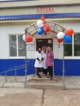 Аптека (selo Dzerzhinskoye, Transportny pereulok, 2А), pharmacy