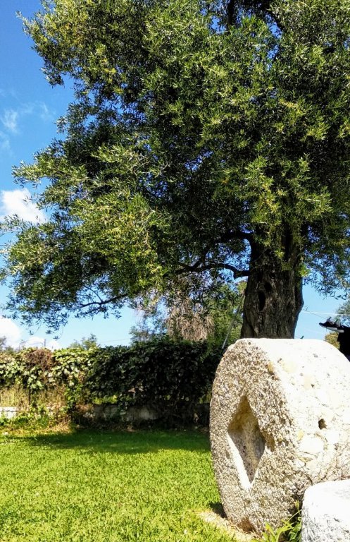 Фото Апарт-отель Ever Green