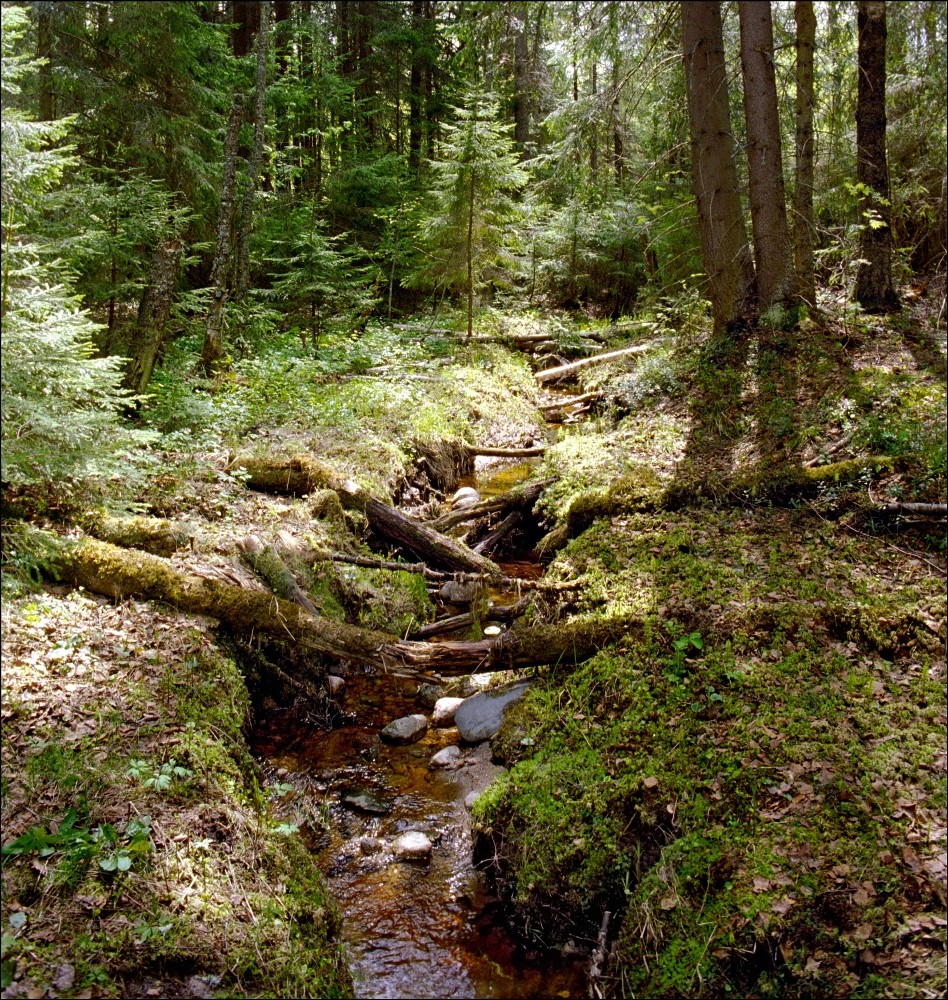 Фото Причал Надежды