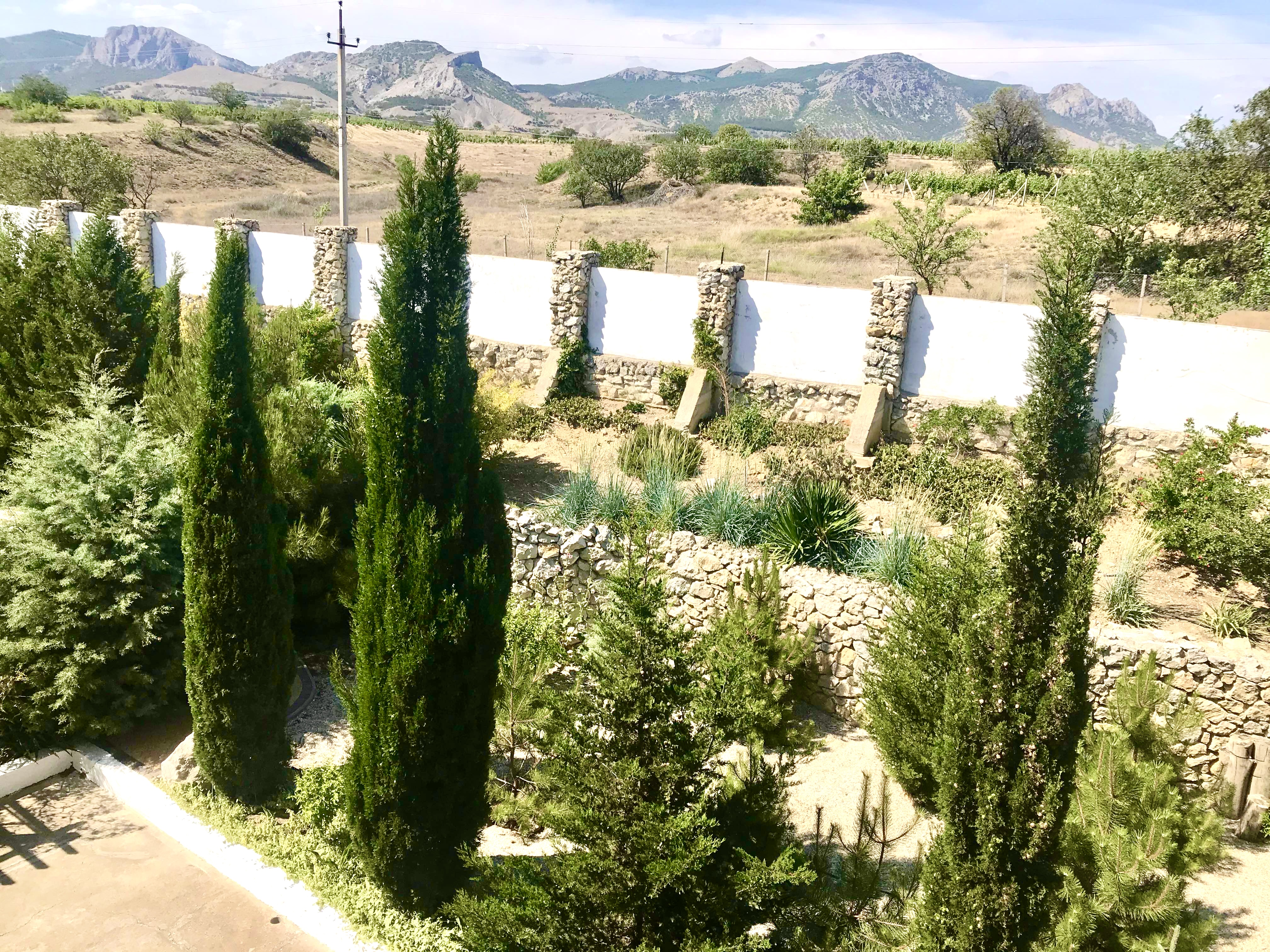 Фото Лагуна