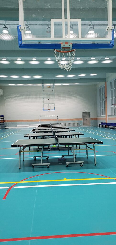 Club de tenis Академия настольного тенниса Wolf Team, , foto