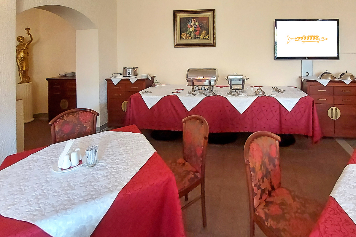 Фото Барракуда