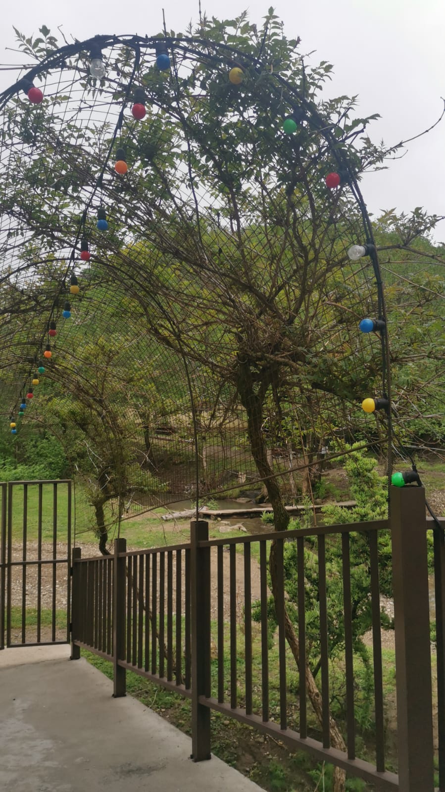 Фото Bambucho Mini-Hotel