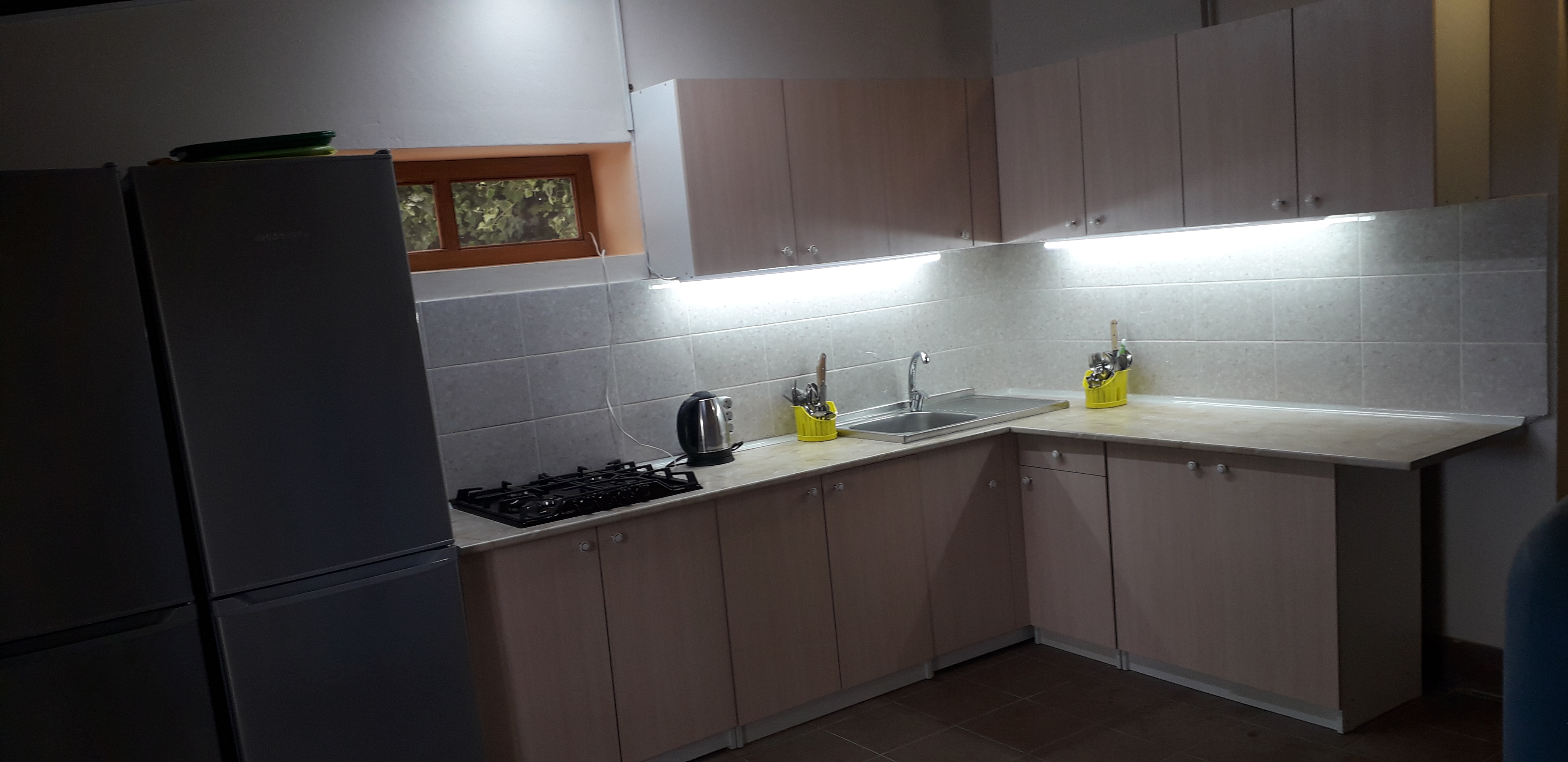 Фото Ромашка