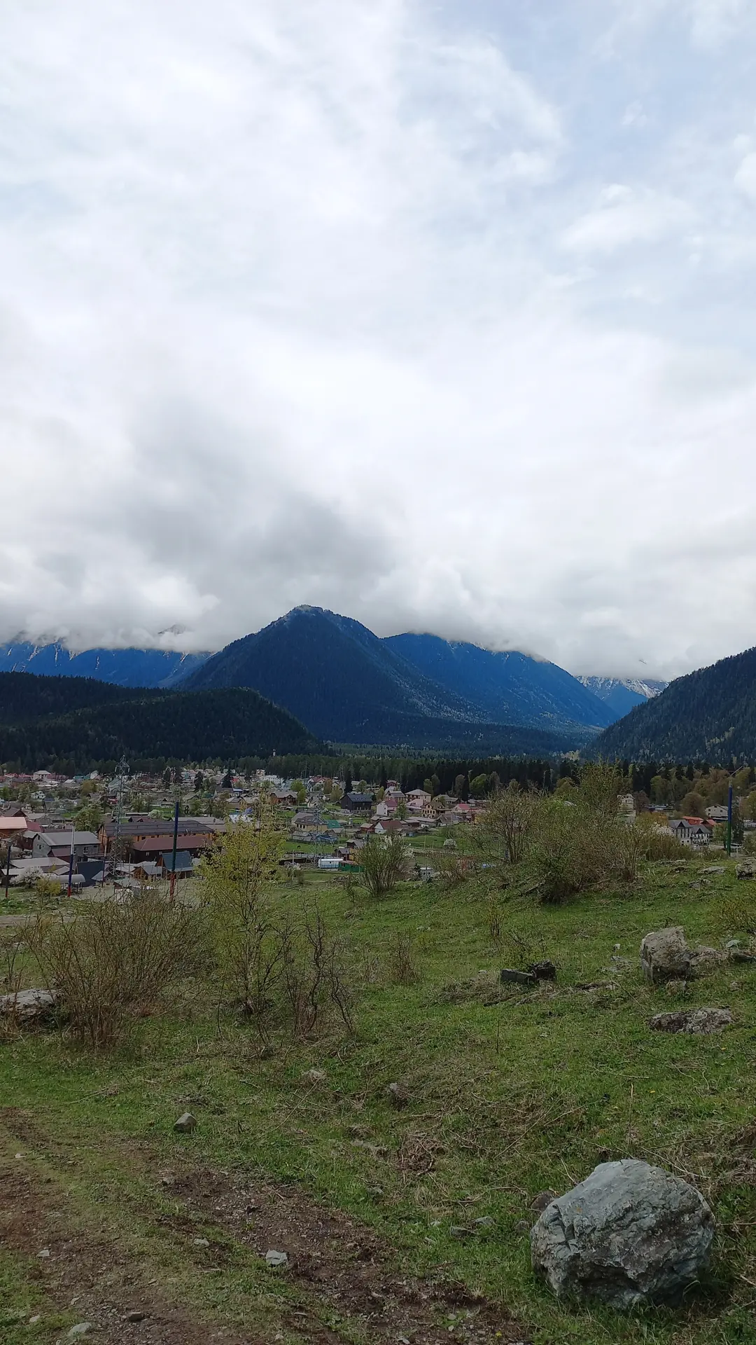 Фото Чинара