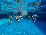 Theswim.by (Surganava Street, 4А), swimming pool
