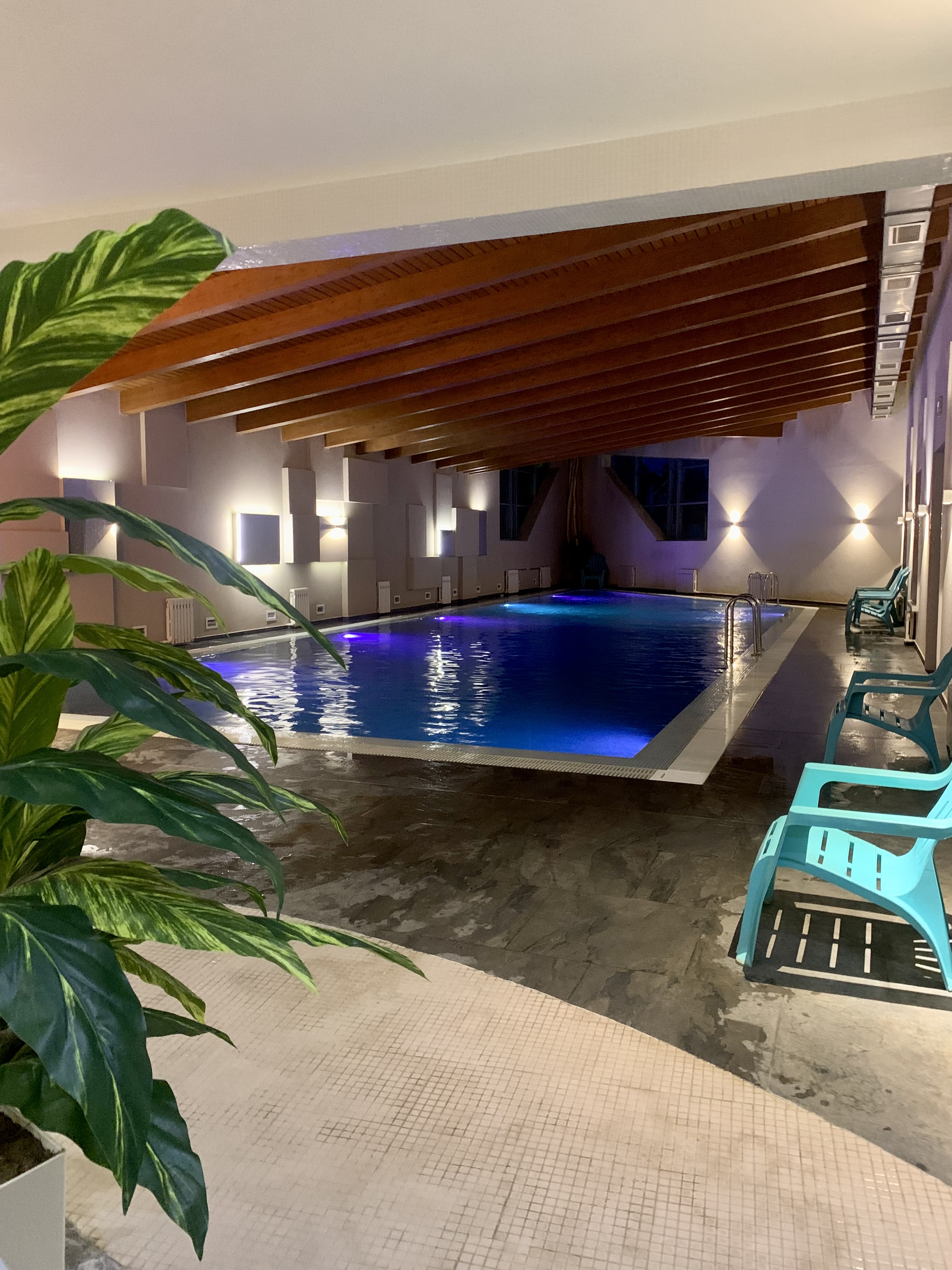 Фото Аристократ