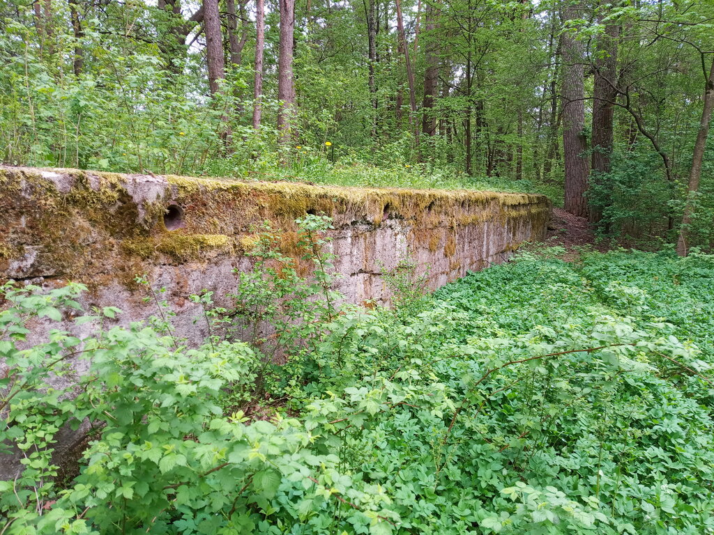 Landmark, attraction Форт № 1 Гродненской укреплённой позиции, Grodno, photo