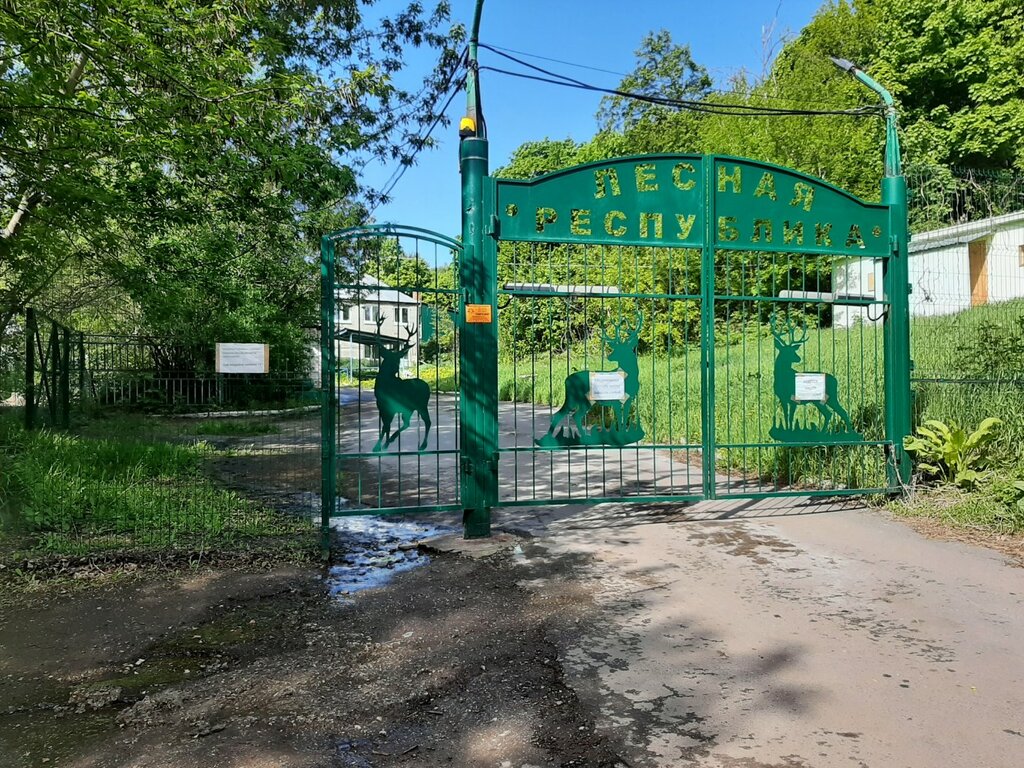 Summer camp МУДОД Детский оздоровительный лагерь Лесная республика, Saratov, photo