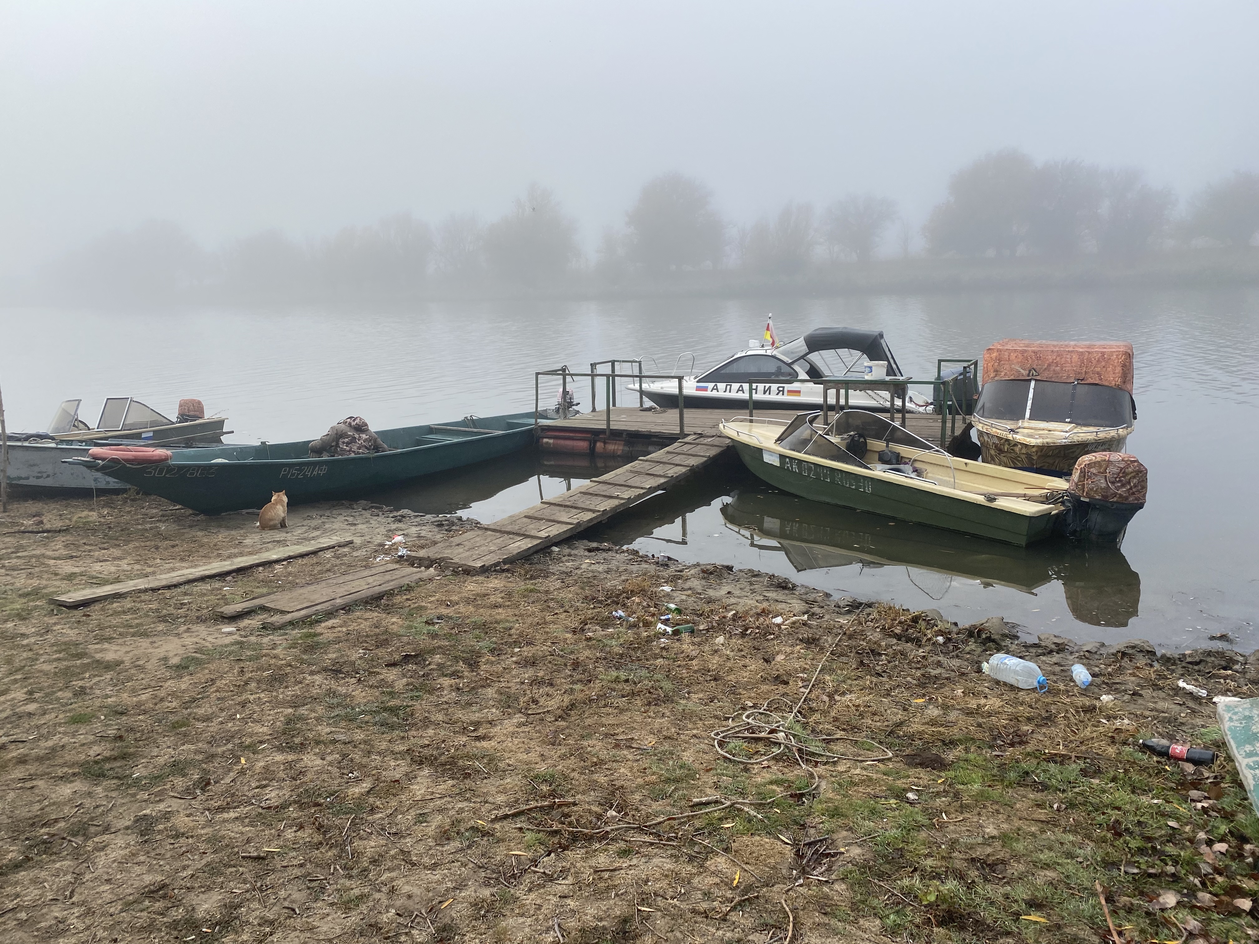 Фото Уваринка