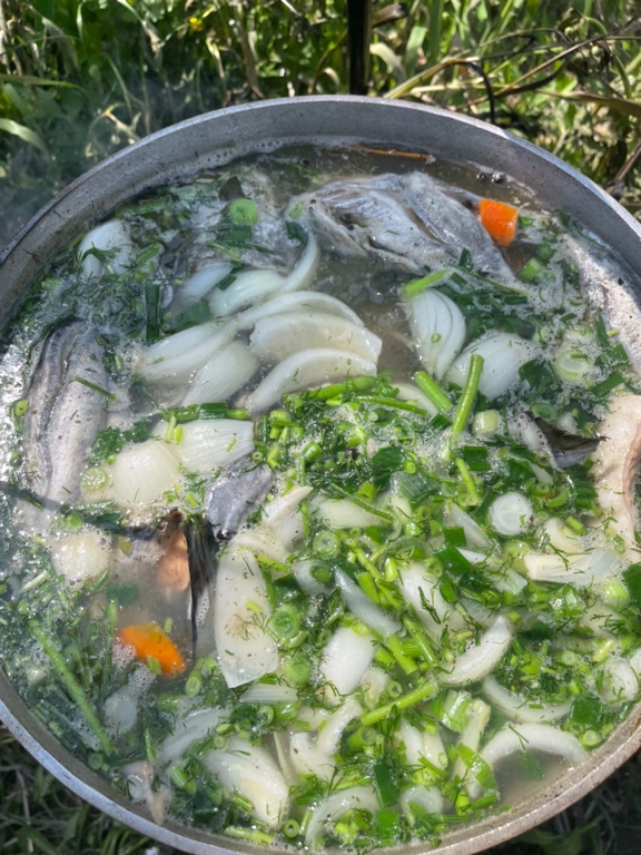 Фото ПроЛосось