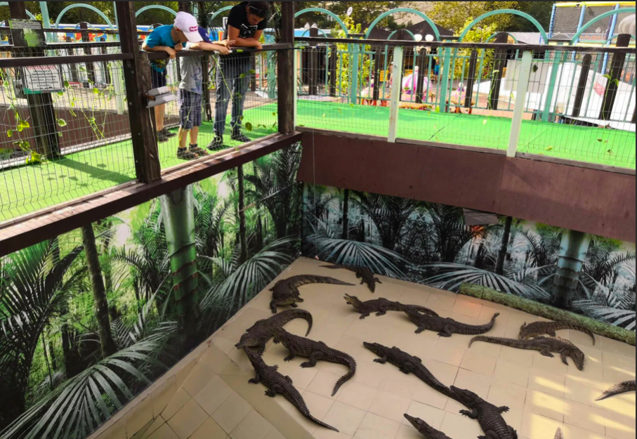 Фото Архипка