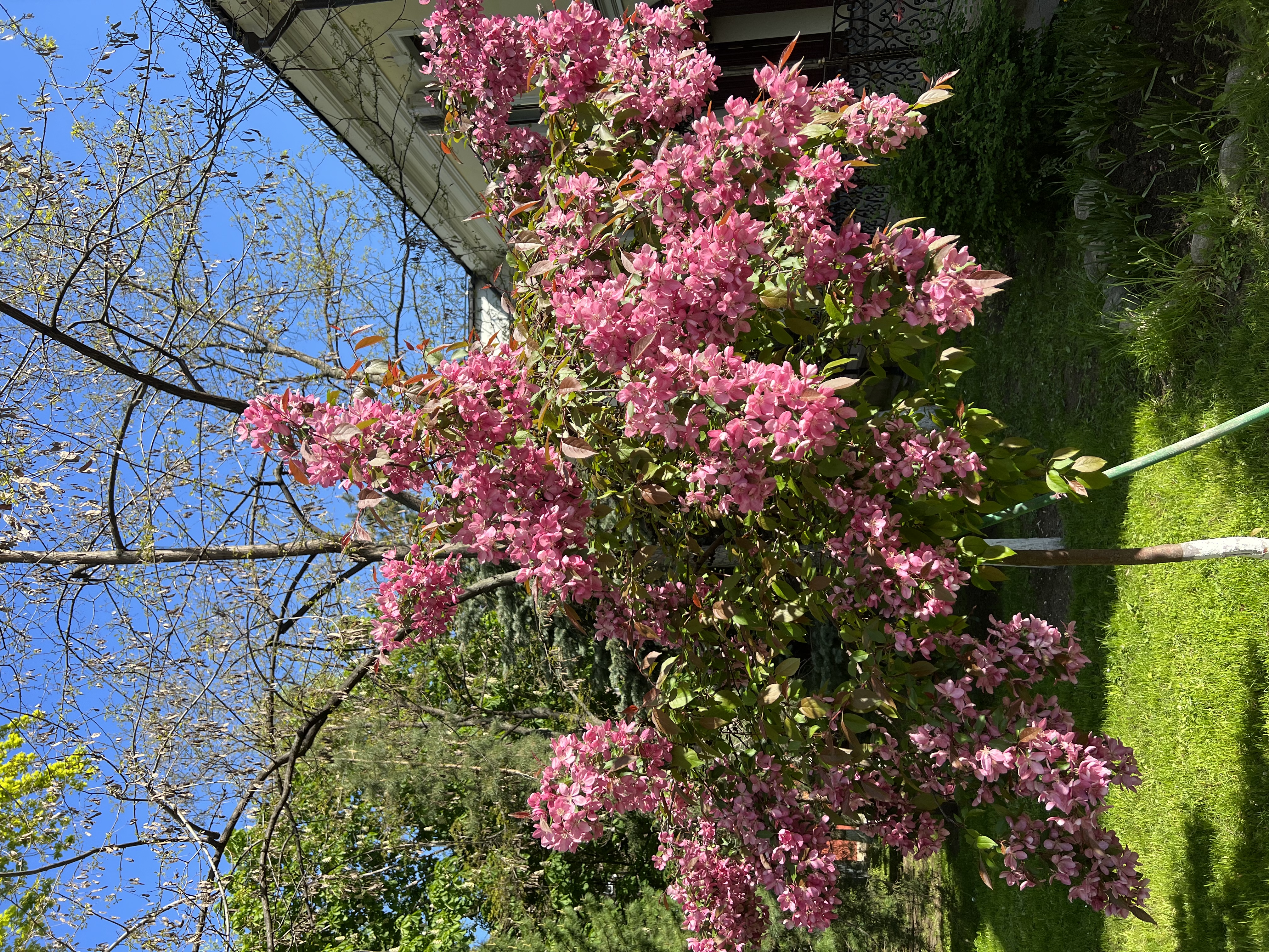 Фото Покровская