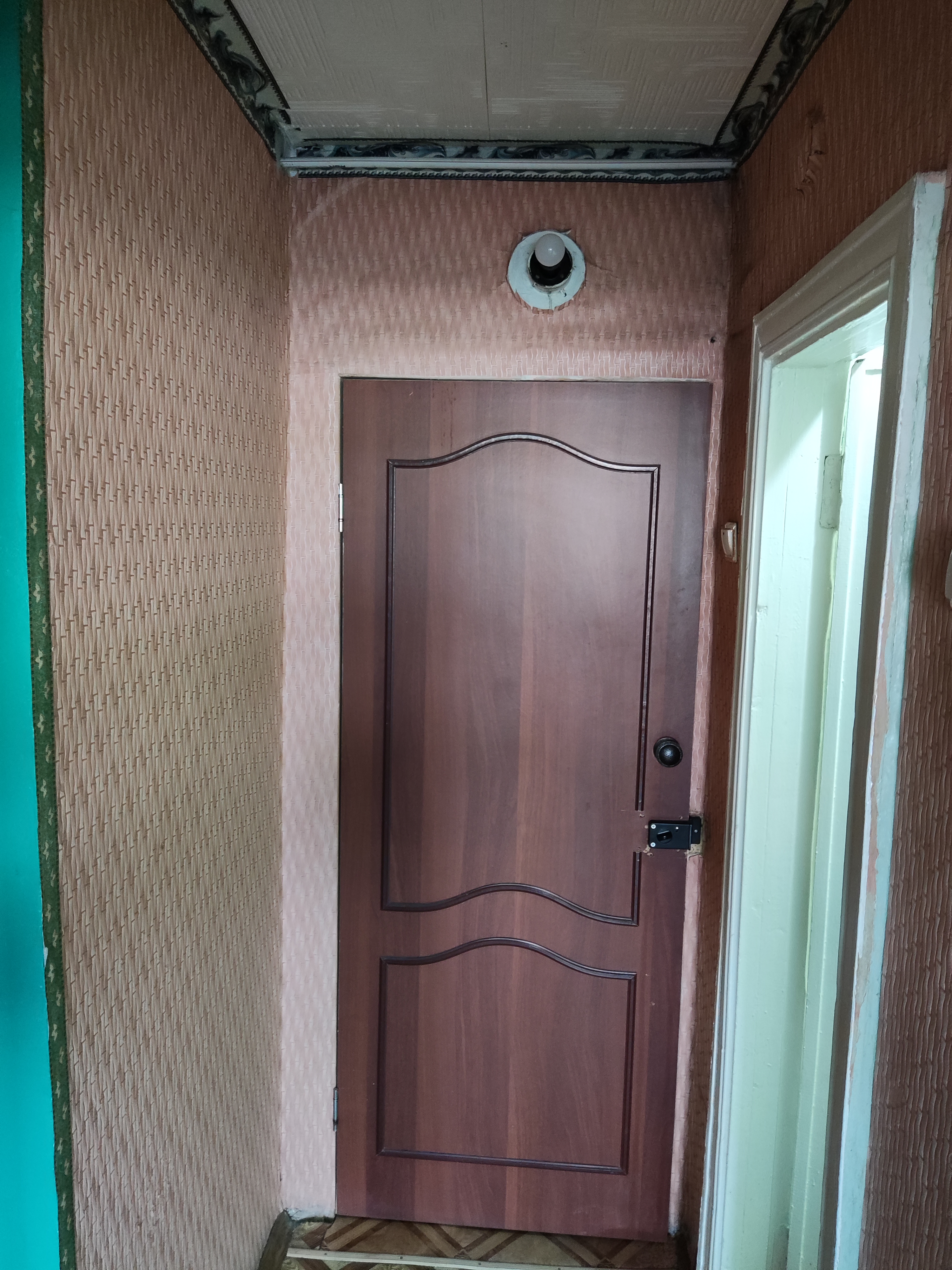 Фото Солнечная