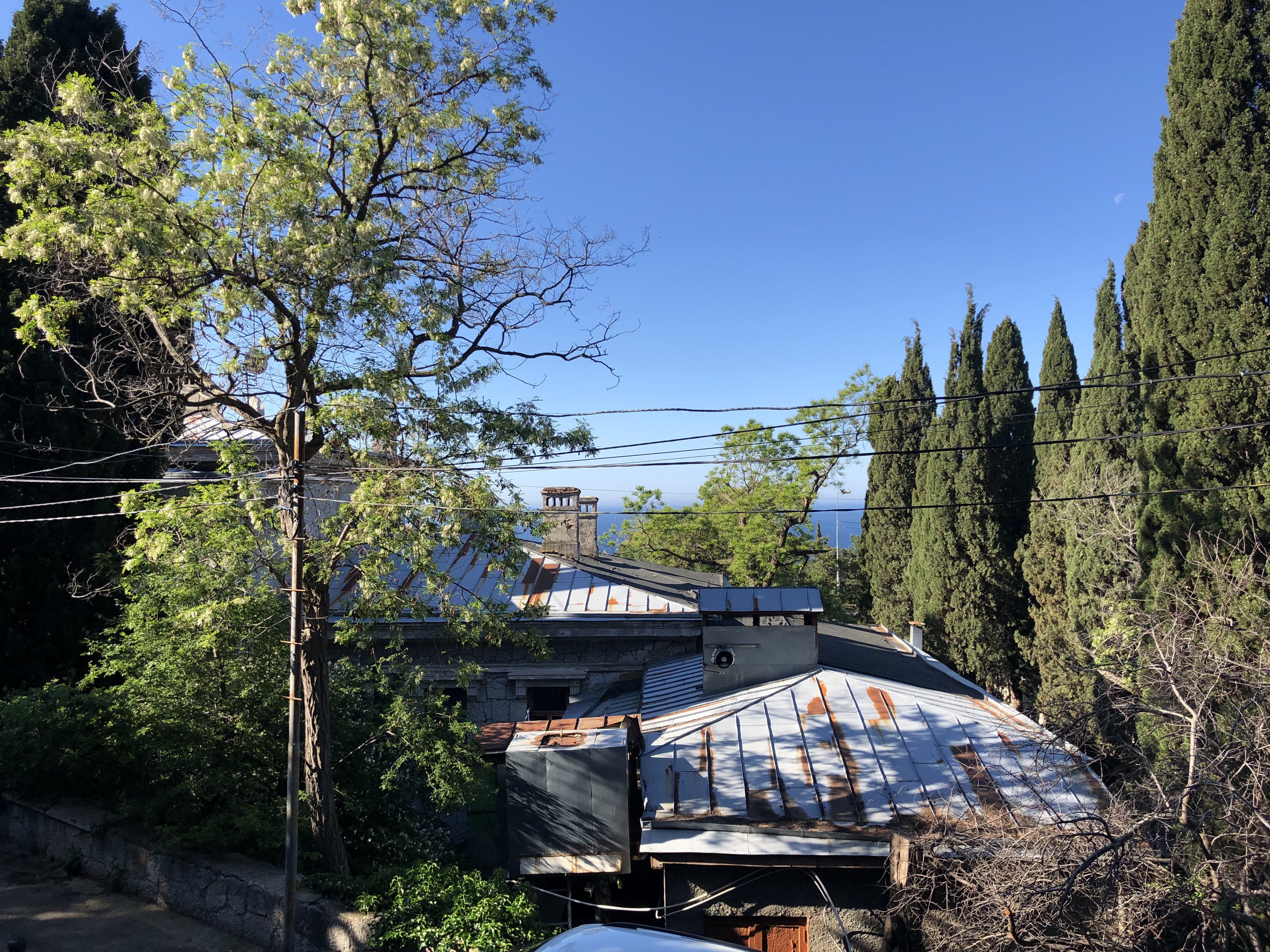 Фото Симеиз тур