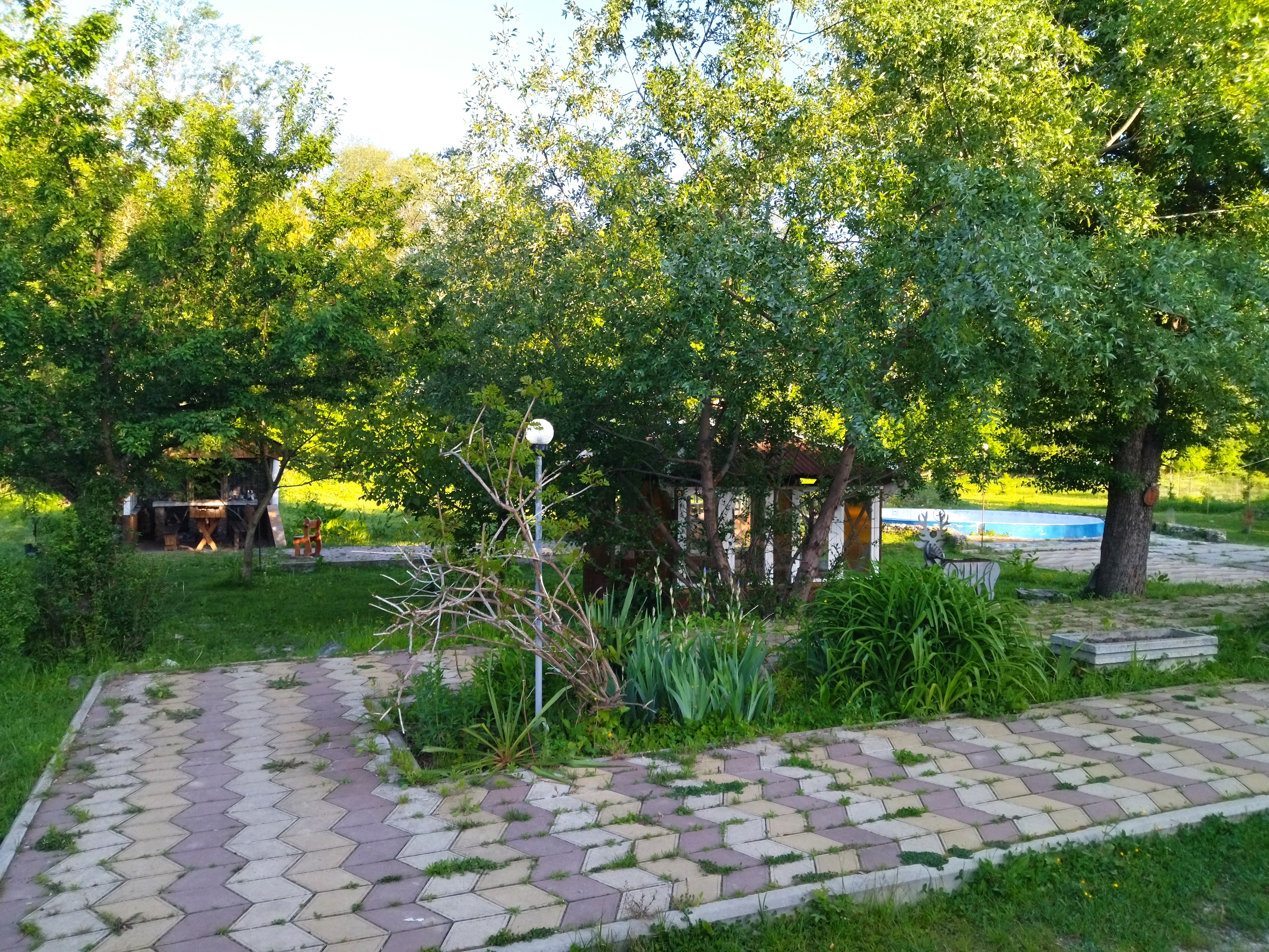 Фото Большая Лаба