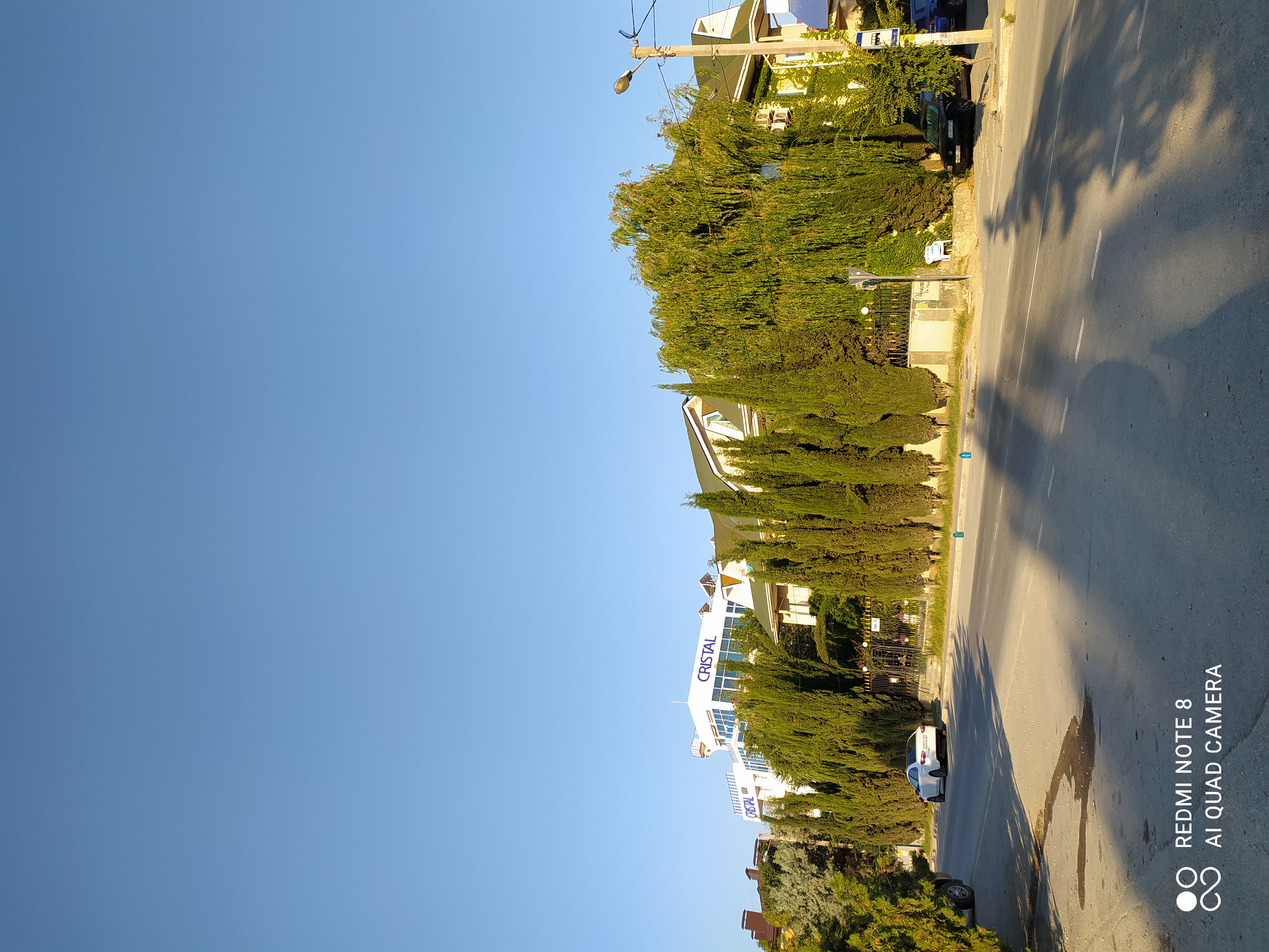 Фото Зеленый рай