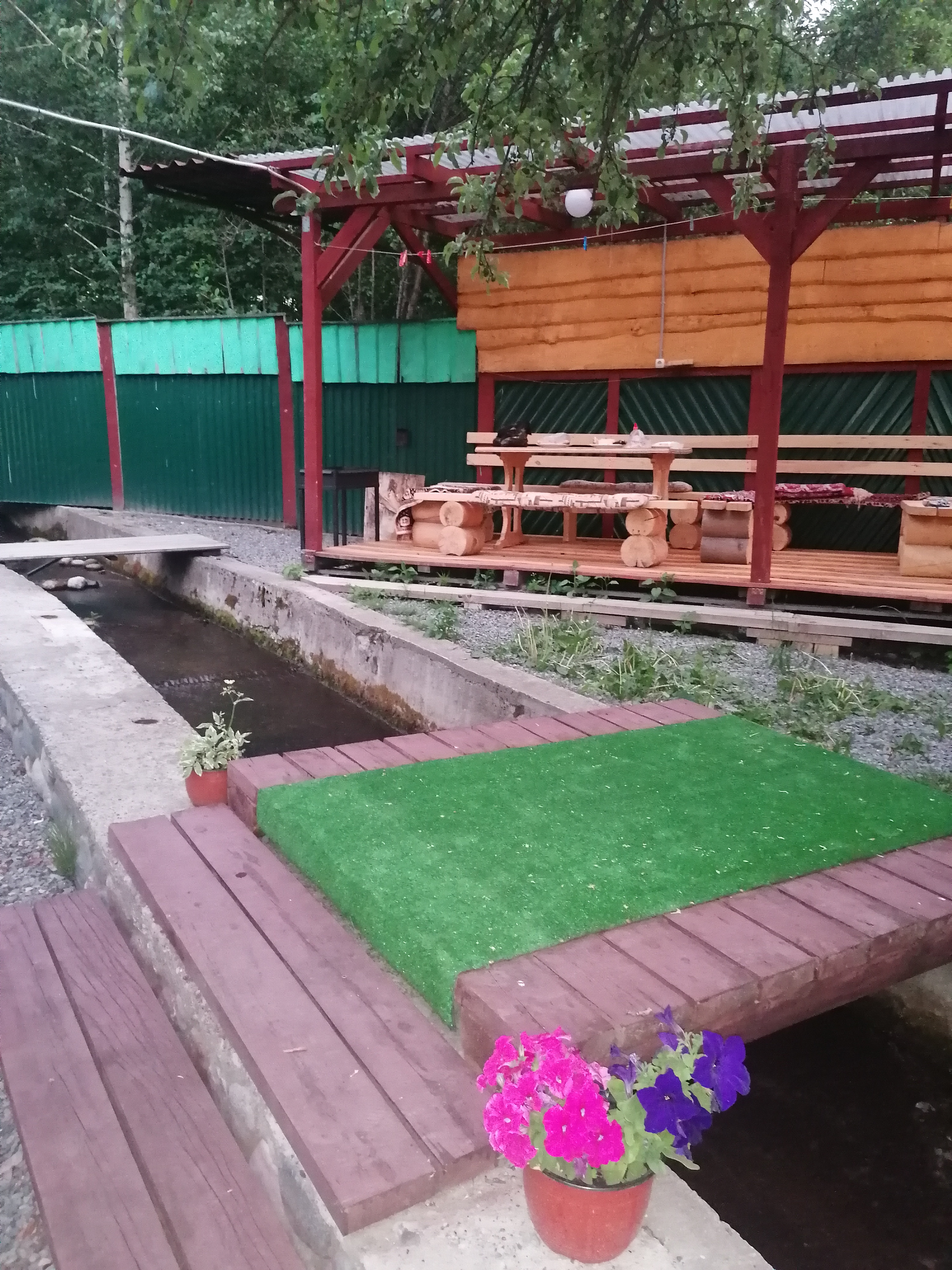 Фото Райские яблоки