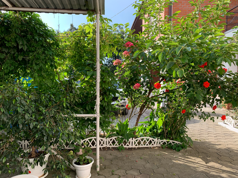 Фото Нинель