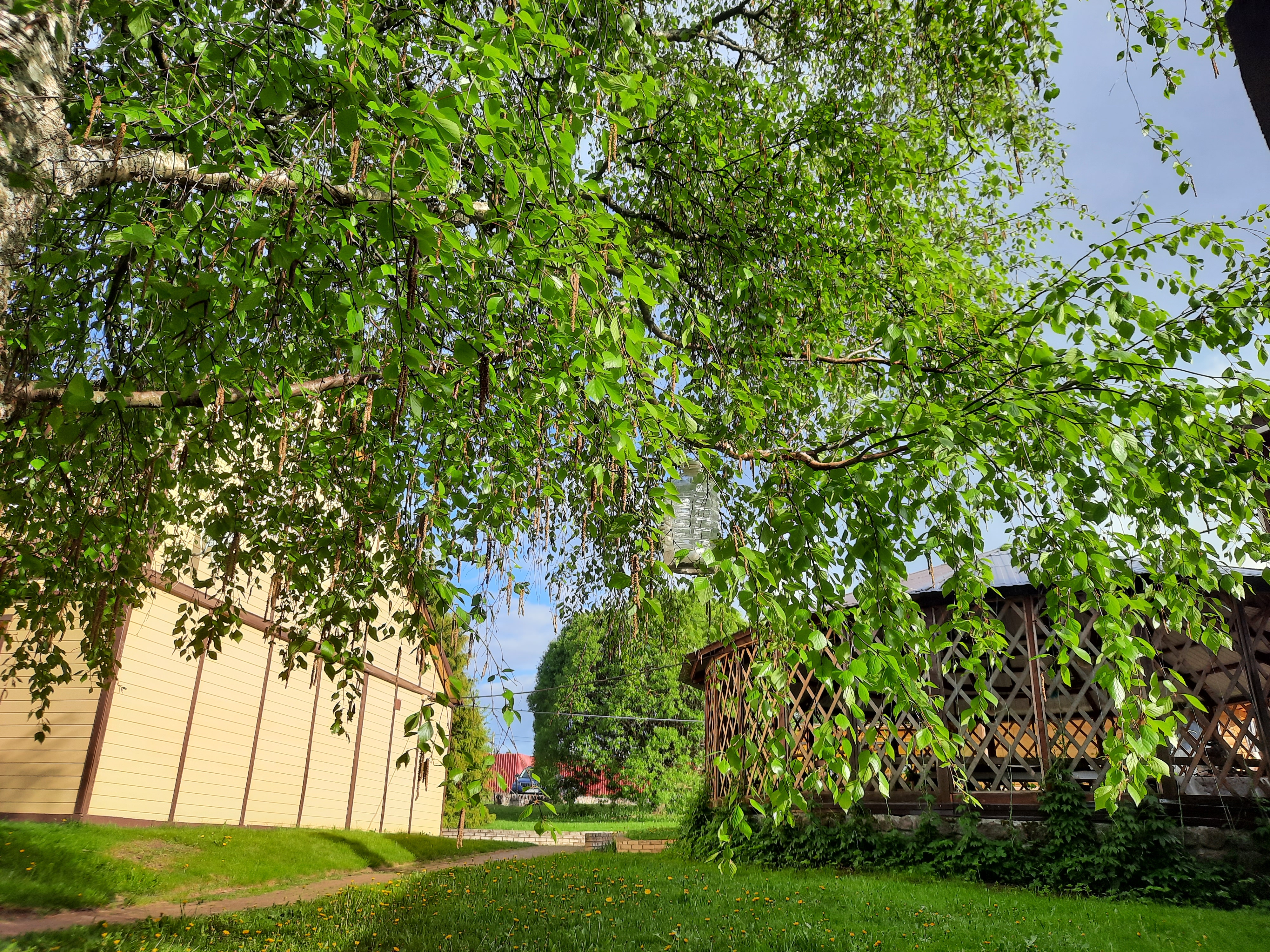 Фото Лужская деревня