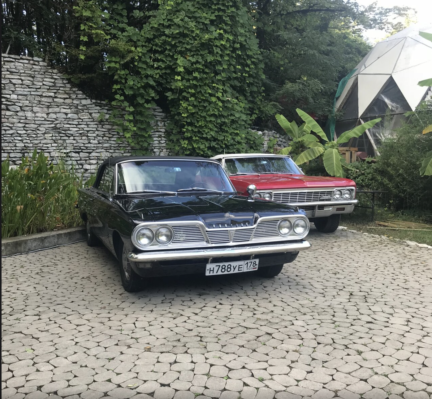 Фото Хоста Рика