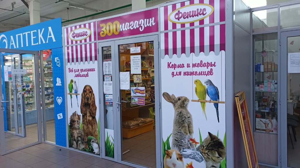 Веста гомель мазурова