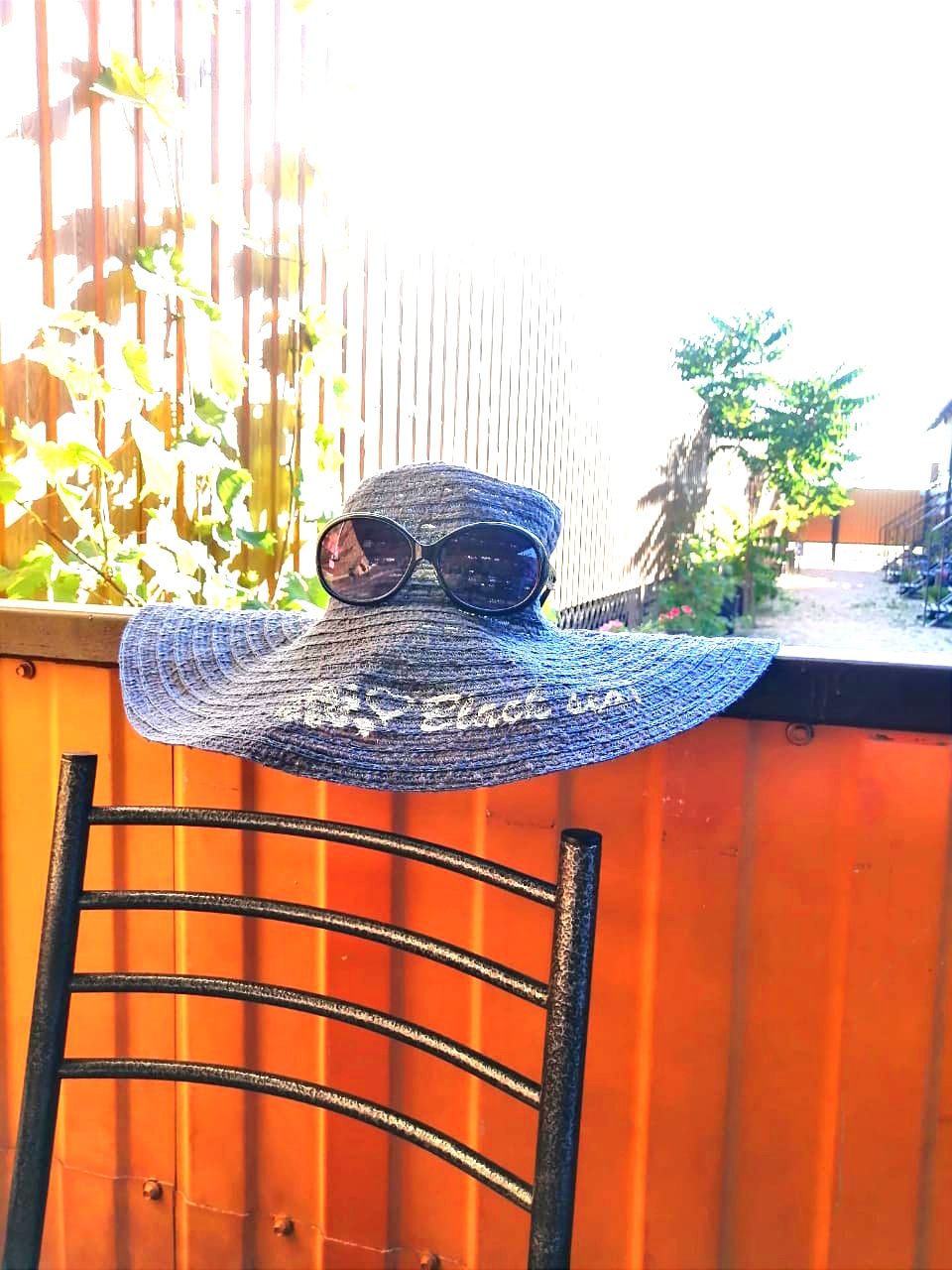 Фото Ковчег