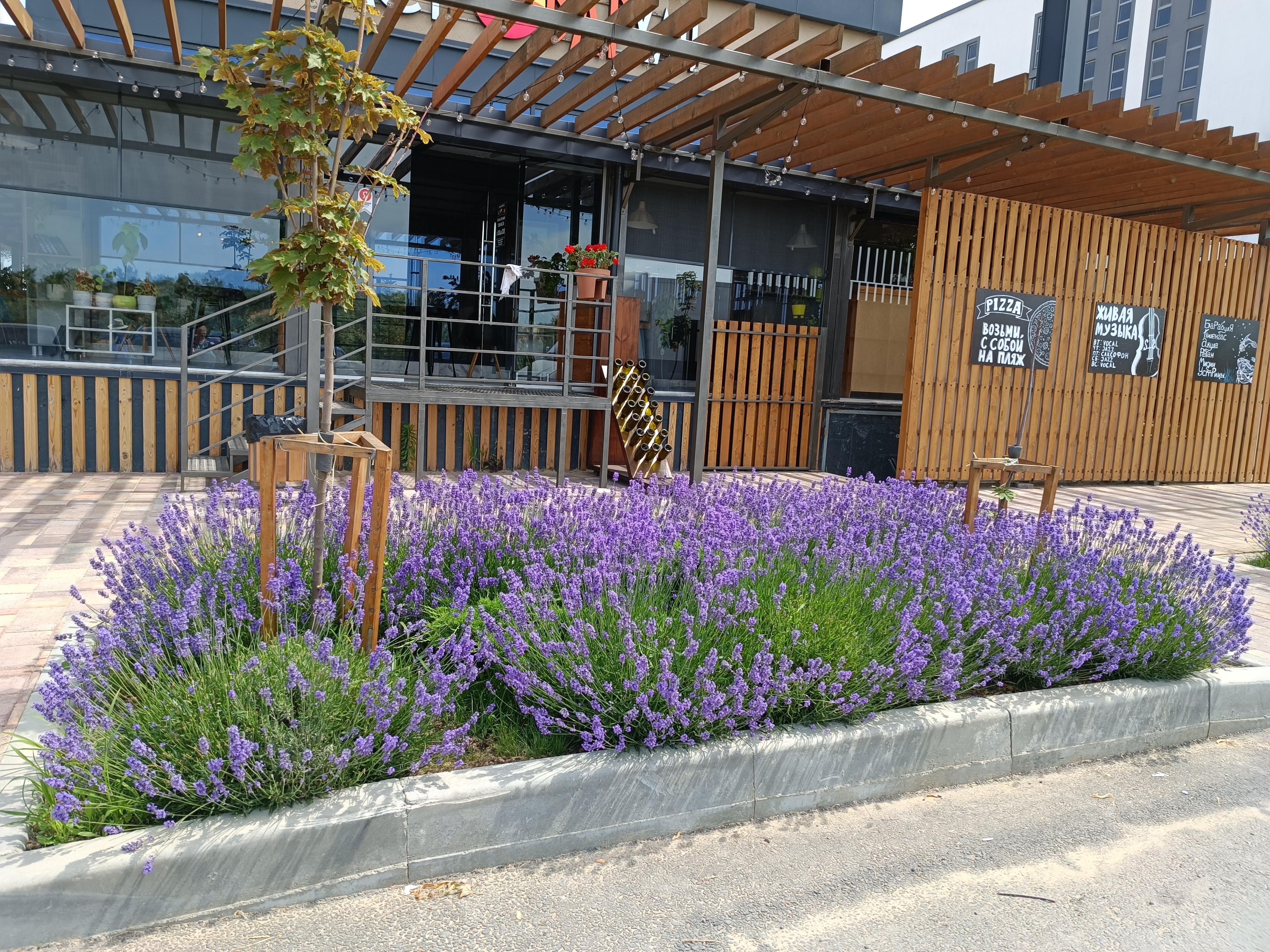 Фото Песок и море