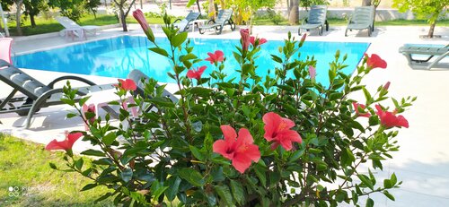 Гостиница Green Garden Otel в Кемере